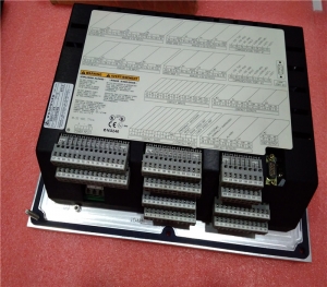 WOODWARD 9905-021