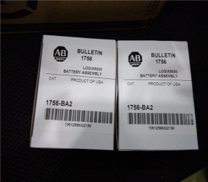 Allen Bradley 1746-IN16