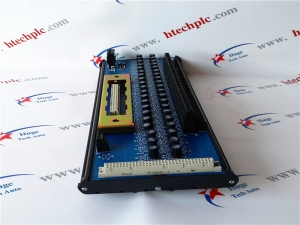 ICS Triplex T8300